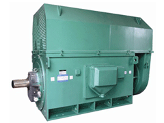 通海Y系列6KV高压电机
